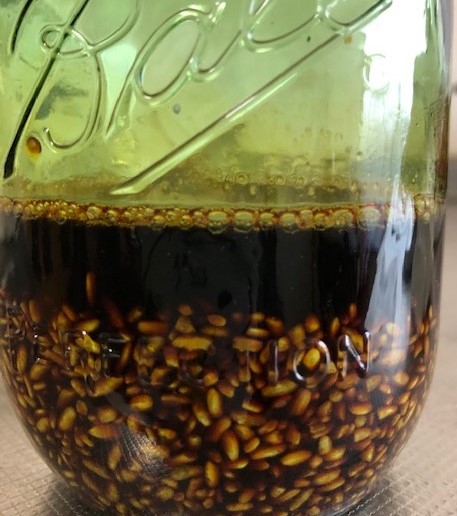 醤油麹