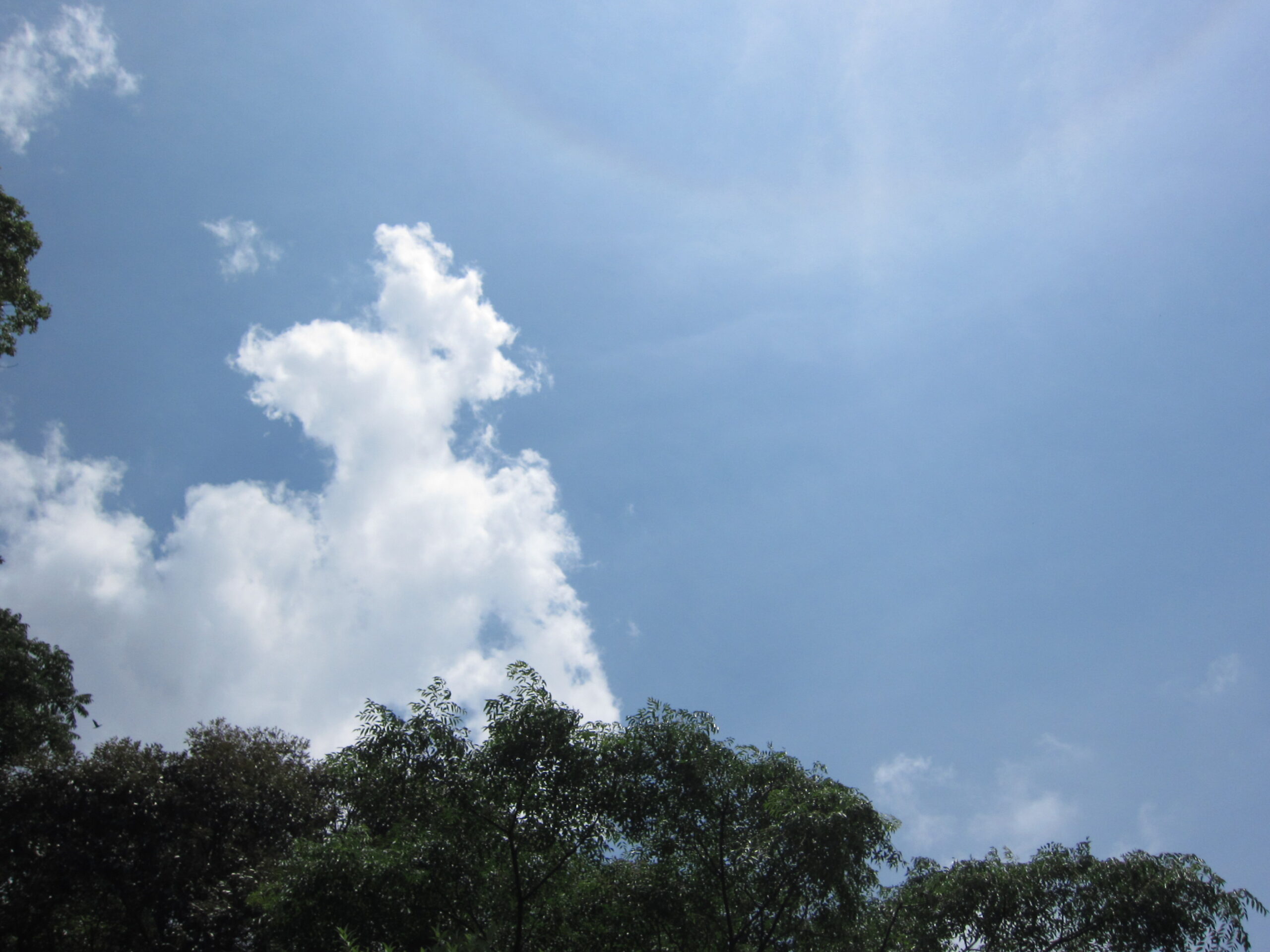 入道雲